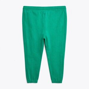 Aritzia TNA Cozy Sweatfleece boyfriend sweatpants Women’s Size Large Green